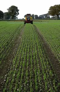 crop spraying